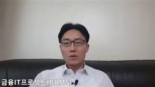 금융IT프로젝트(Business Rule Management System)