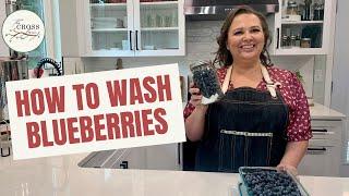 How to Wash Blueberries | Keep Blueberries Fresh for 8 weeks!