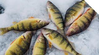 Ice Fishing for Perch on Sodus Bay, NY