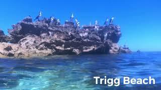 Snorkelling Trigg Beach, Perth Western Australia