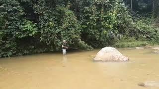 Malaysia Fly Fishing Sikang Sg Lepar