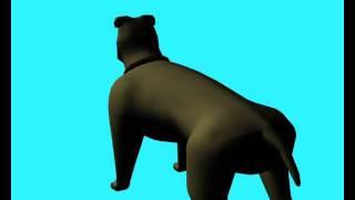 3D dog turn around