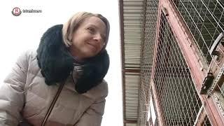 В Центре помощи бездомным животным «Доброе сердце» утепляют вольеры