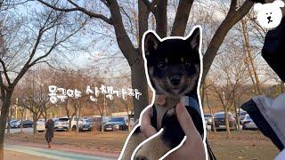 몽구야 산책가자