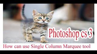 How can use Single Column Marquee tool