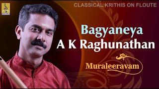 Bagyaneyya | a flute concert by A.K.Raghunadhan | Muraleeravam