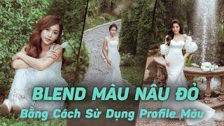 Blend Màu Nâu Đỏ Hàn Quốc - Lightroom Nâng Cao