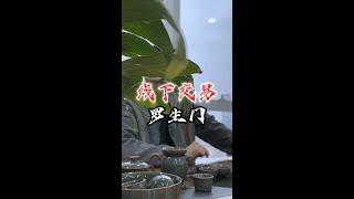 新型骗局！抓住了场外交易的漏洞，买U、卖U都需要慎防被骗！加密货币骗局揭秘|世链财经|币圈防诈骗技巧|otc交易|币圈最新消息|比特币行情分析|加密货币价格走势预测|区块链入门知识|炒币软件与工具