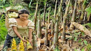 Bamboo Shoot Harvesting SECRETS for the Best Pickles EVER | Gardening and Cooking