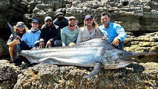 176kg Land-based Black Marlin - Unofficial World Record Fish