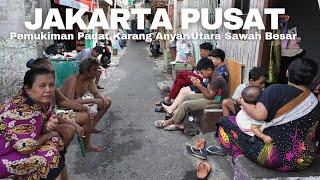 Pemukiman Padat Sawah Besar Jakarta Pusat | Real Walking in Jakarta Indonesia