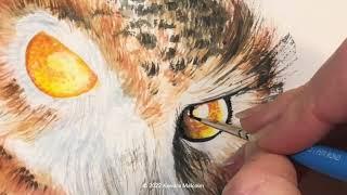 Art with Kendra: Watercolour Owl Tutorial