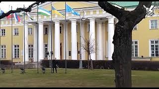 Судьба флага Украины в Петербурге