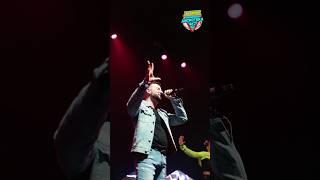 SHAKHOV - СНЕГИРИ #shakhov #шахов #дискотека90