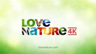 Love Nature 4K Demo