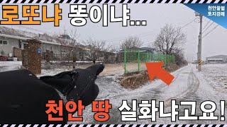 2억에 272평?! 천안 신당동 토지 경매... 이 가격 실화인가요?