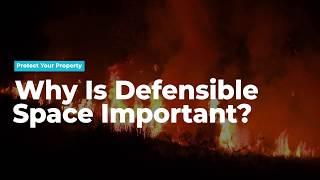 Wildfire Ready: Why is Defensible Space So Important