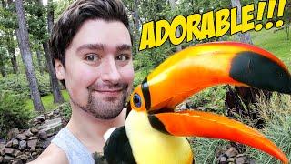 Taking my Toucan to The Botanical Gardens UN-LEASHED!! (SO CUTE!)