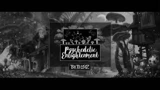 Mr Traumatik - Psychedelic enlightenment