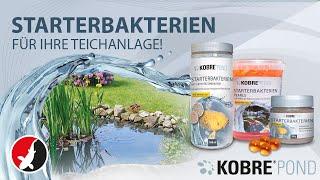 Kobre®Pond Starterbakterien für Ihre Teichanlage!