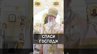 Спаси Господи | еп. Августин (Анисимов)