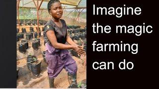 Why farming is our next solution