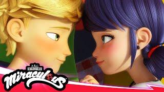 MIRACULOUS |  SCHUTZ  | STAFFEL 5 | Geschichten von Ladybug und Cat Noir