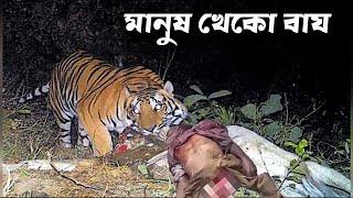 বাঘটি 436 টি মানুষকে শিকার করেছিল | The story of bad Tiger | Funny Tiger | Animal facts | Funny