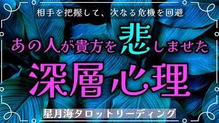 【許せない相手の深層心理】あなたを悲しませた理由️ 新たな危機を回避するため、相手の感情・思考パターンを把握する‍️当たる3択タロット占い【理不尽な出来事】