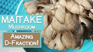 Maitake Mushroom, Benefits of D-Fraction Compound