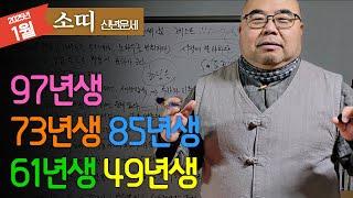 2025년 신년운세 소띠 베스트띠 아직 시작에 불과한데..ㅣ을사년 1월 소띠운세 97년생 85년생 73년생 61년생 49년생