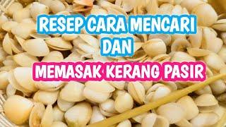 Cara mencari dan Memasak Kerang Pasir