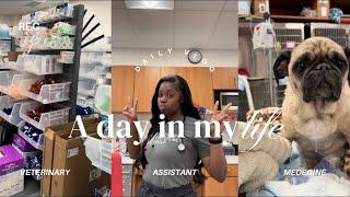 A day in my life as a Vet Assistant in ER | Journey to Vet school 