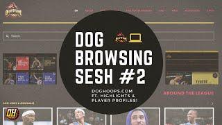 Delay of Game Hoops (doghoops.com) • Browsing Sesh #2