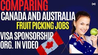 Companies Offering Fruit Picking Job in Canada and Australia