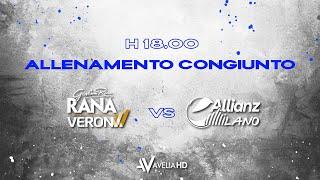 Allenamento congiunto: Rana Verona - Allianz Milano