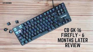 6 Months Later | Cosmic Byte CB GK 16 Firefly Long-term Review | Watch Before You Buy