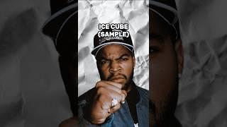 Sample Breakdown: Ice Cube - It was a Good Day