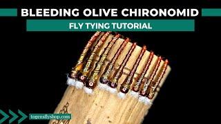 Bleeding Olive Chironomid - Fly Tying Tutorial