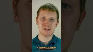«Иммунитет» у клопов