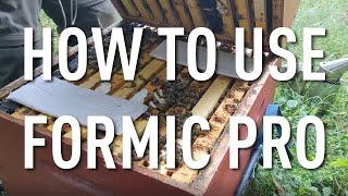 How to Use Formic Pro to Fight Varroa Mites in Honey Bees
