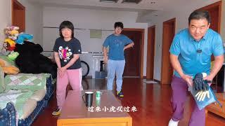 第一集：柴犬为什么不好养如果你也养柴犬一定早点来上学