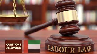 UAE New Labor Law 2022– getting your questions answered by a Professional HR