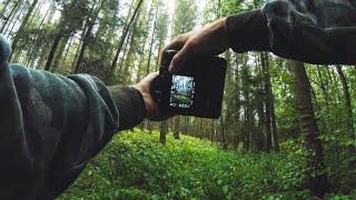 POV Nature Photography | September Forest