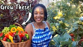 Grow These 20 Crops In Containers || Easy To Grow Crops For Beginners/New Gardeners