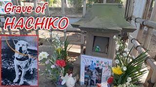 kuburan hachiko...Anjing paling setia di Jepang | Nochee1000 #hachiko