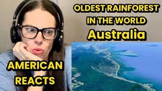 WHERE IS THE OLDEST RAINFOREST IN THE WORLD | AMERICAN REACTS