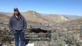 Wildlife Water Development Program - Nevada Department of Wildlife