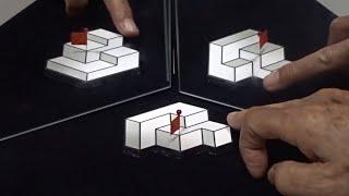 Lecture Series for Those Who Stay Home "3D Optical Illusion: 12. Triply Ambiguous Objects"