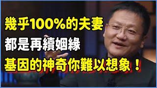 轉世是真的！幾乎100%的夫妻都是再續姻緣，基因的神奇你難以想象！看看什麼叫生理性喜歡！ #talkshow #圆桌派 #窦文涛 #脱口秀 #真人秀 #圆桌派第七季 #马未都